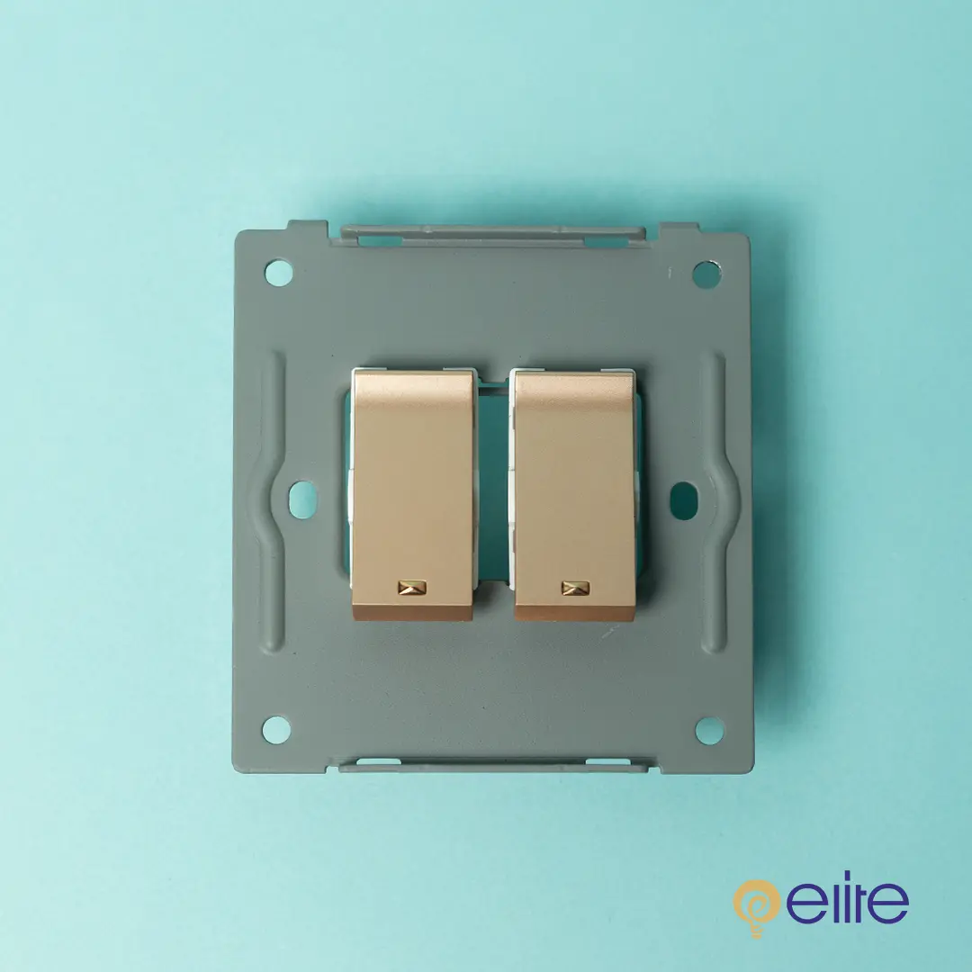 Elite Dual Gold Switches with Mounting Plate